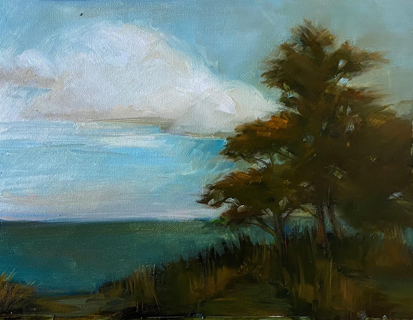 Shannon Burch – Bin: Illinois State Beach Park