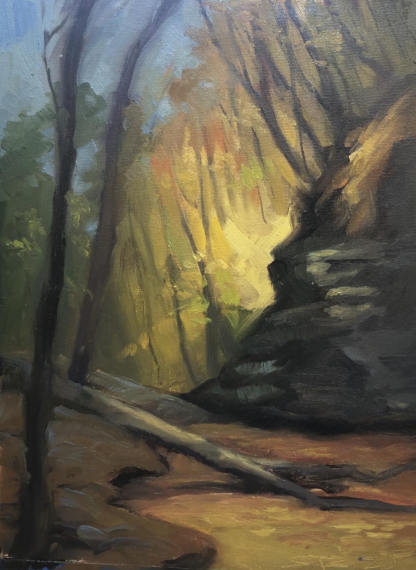 Shannon Burch – Bin: Mattheissen State Park, Fall, 1