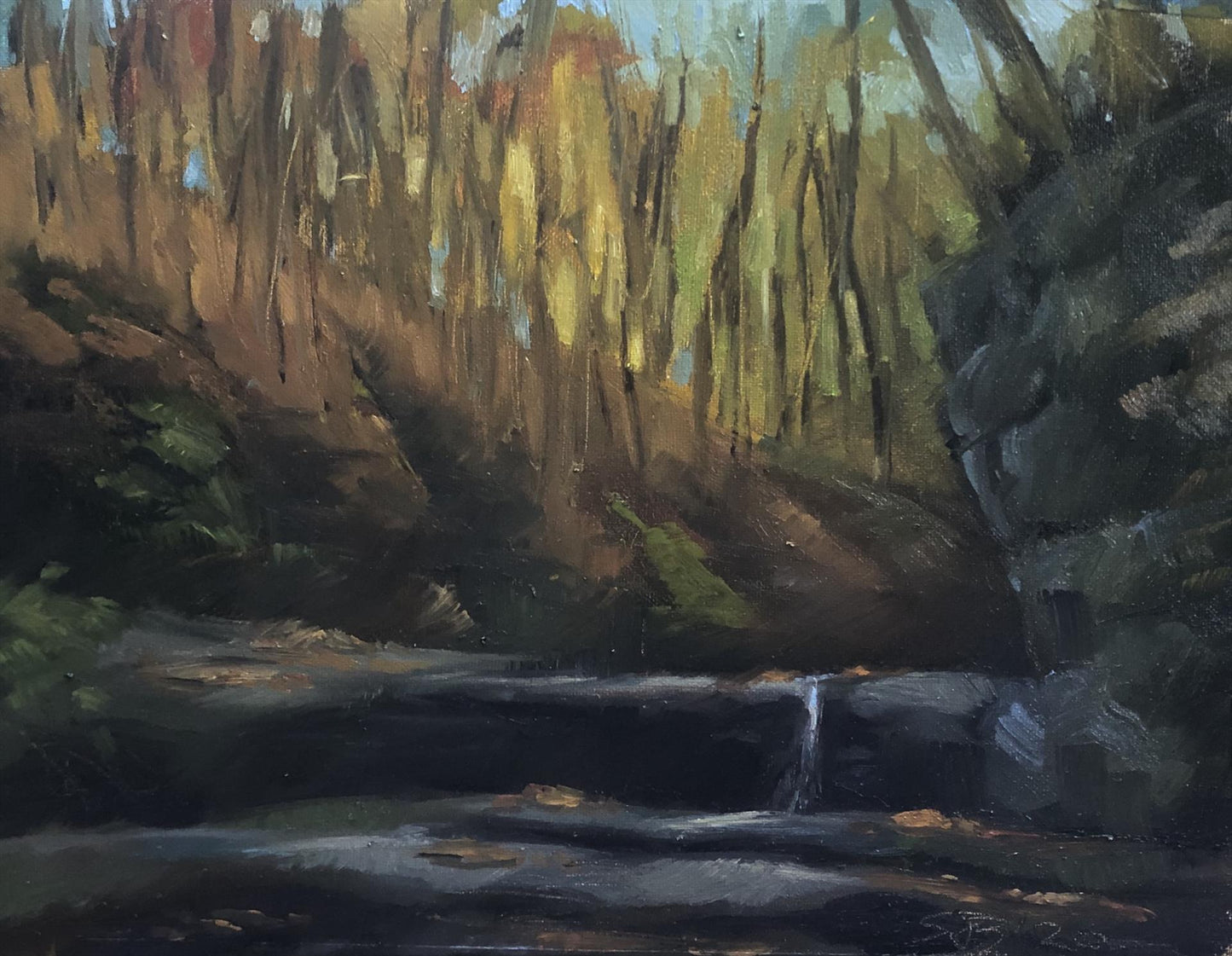 Shannon Burch – Bin: Mattheissen State Park, Fall, 2