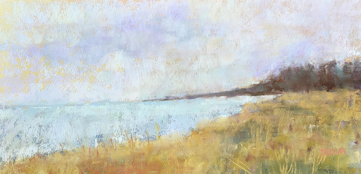 Julie Skoda — Day at the Dunes