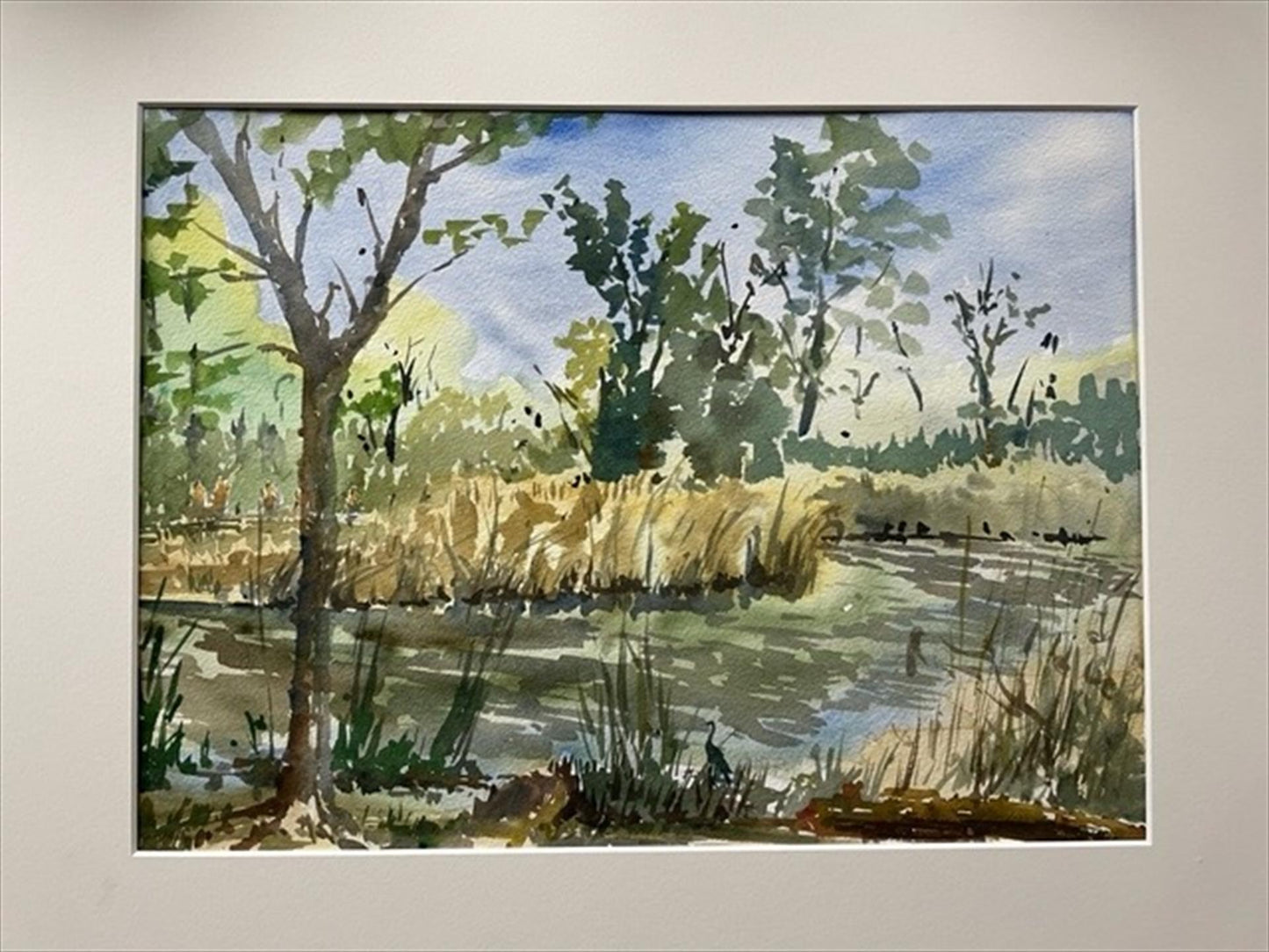 Bryan Doyle — North Park Nature Center