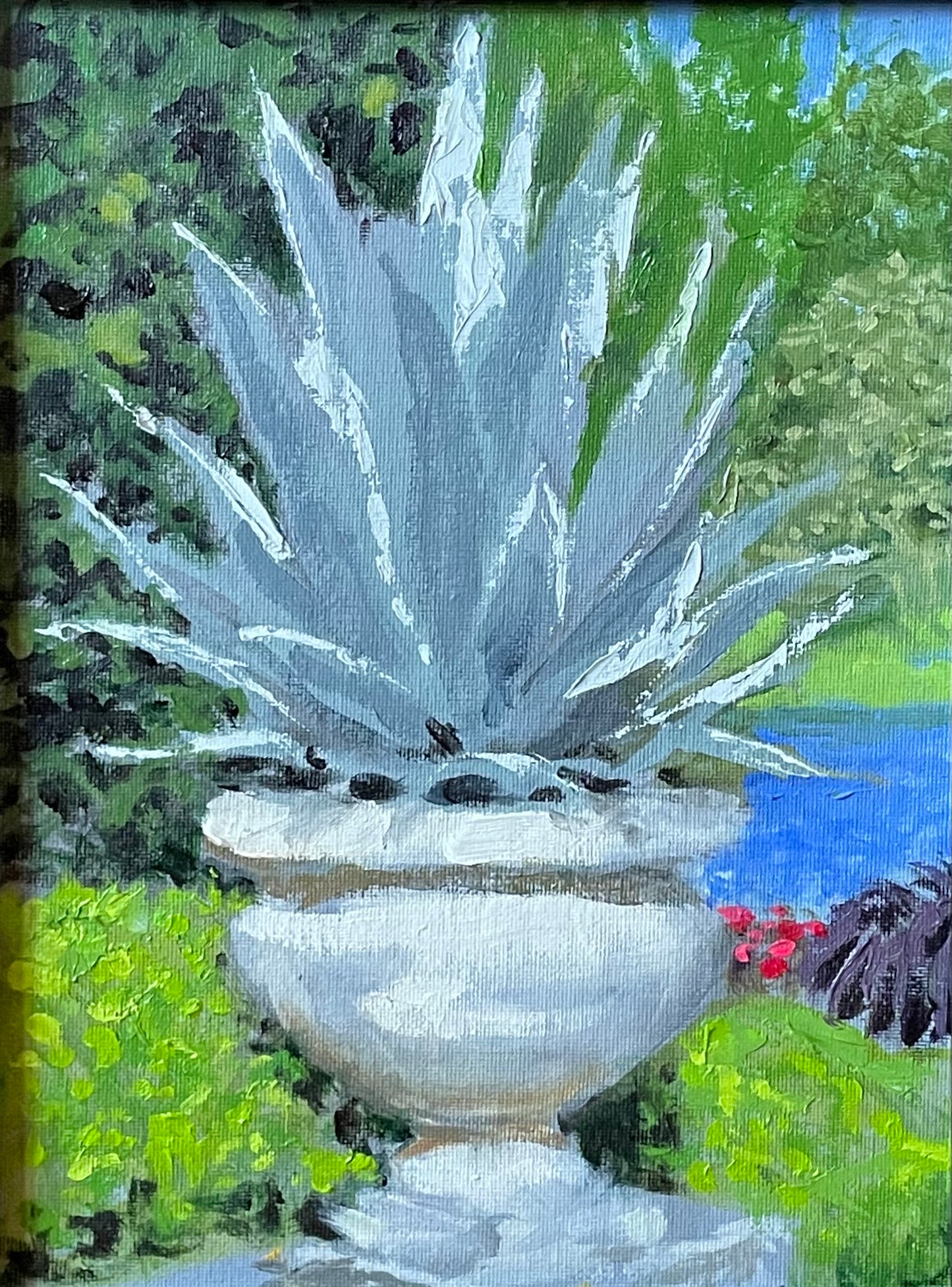 Maureen Sharkey — Agave