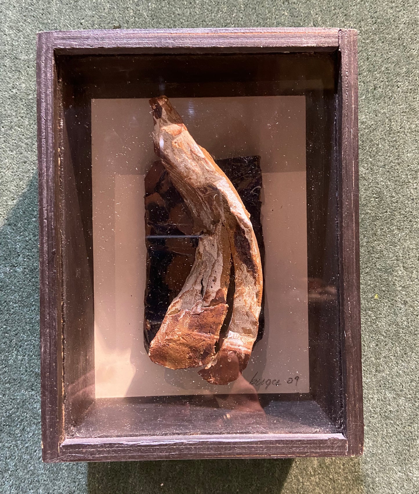 Claire Berger - Shadow Box #2