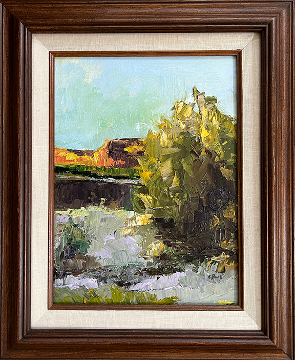 Cathy Buck – Along the Arroyo