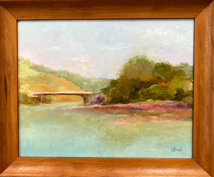 Cathy Buck – Spring River