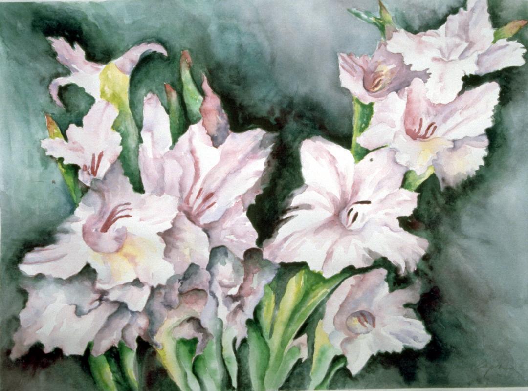 Jan Flapan - Gladiolas