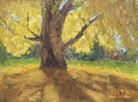 Bobbie Puttrich — Ginkgo