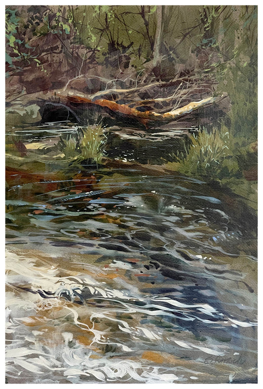 Steve Puttrich –  Cedar Creek