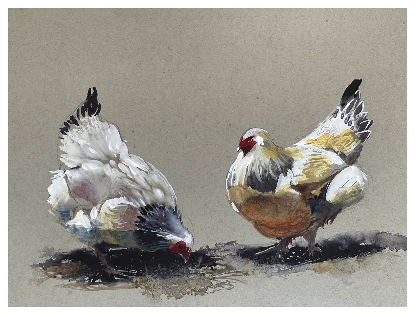 Steve Puttrich – Chickens Study 2