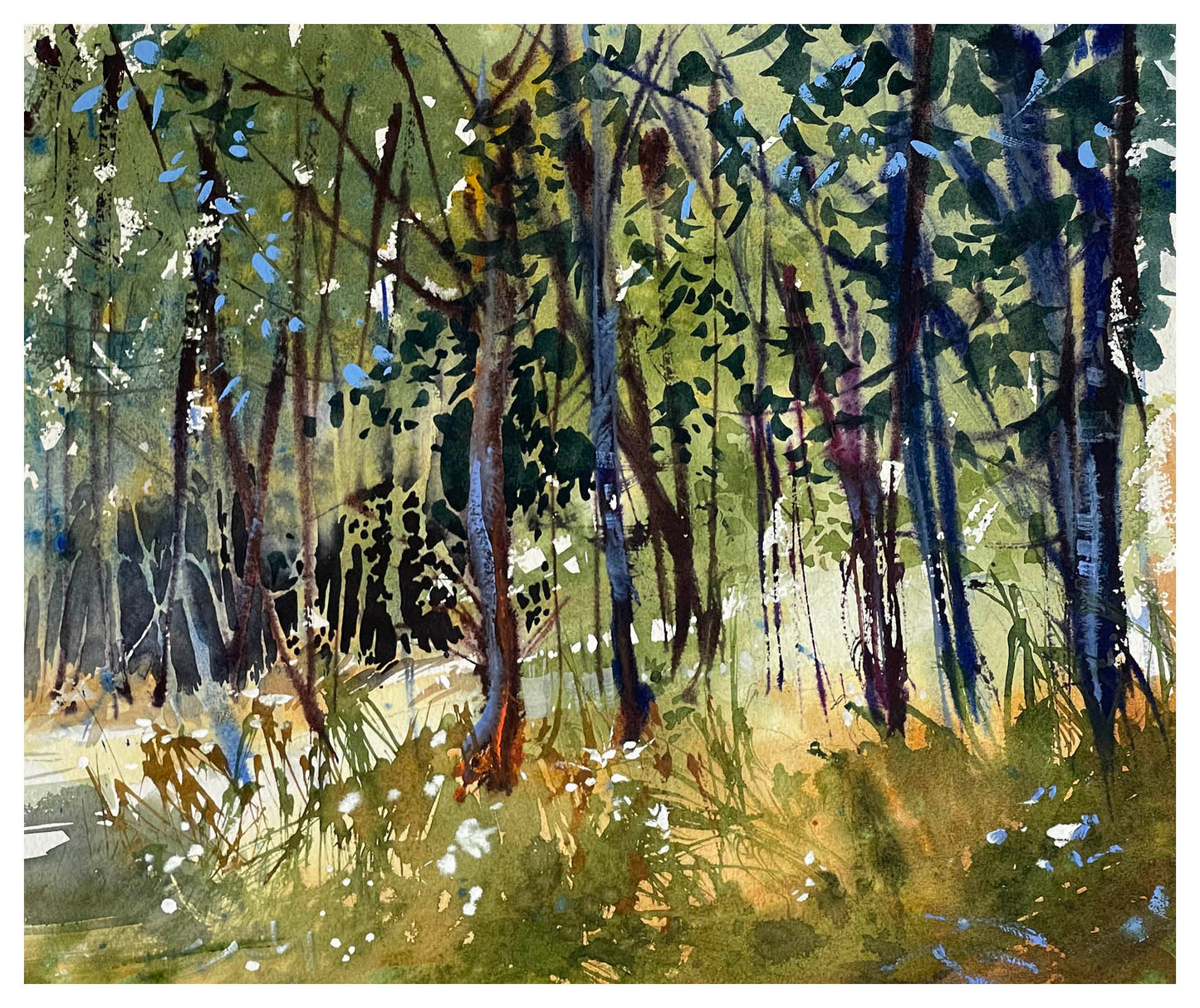 Steve Puttrich – Light's Journey