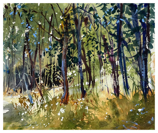 Steve Puttrich – Light's Journey