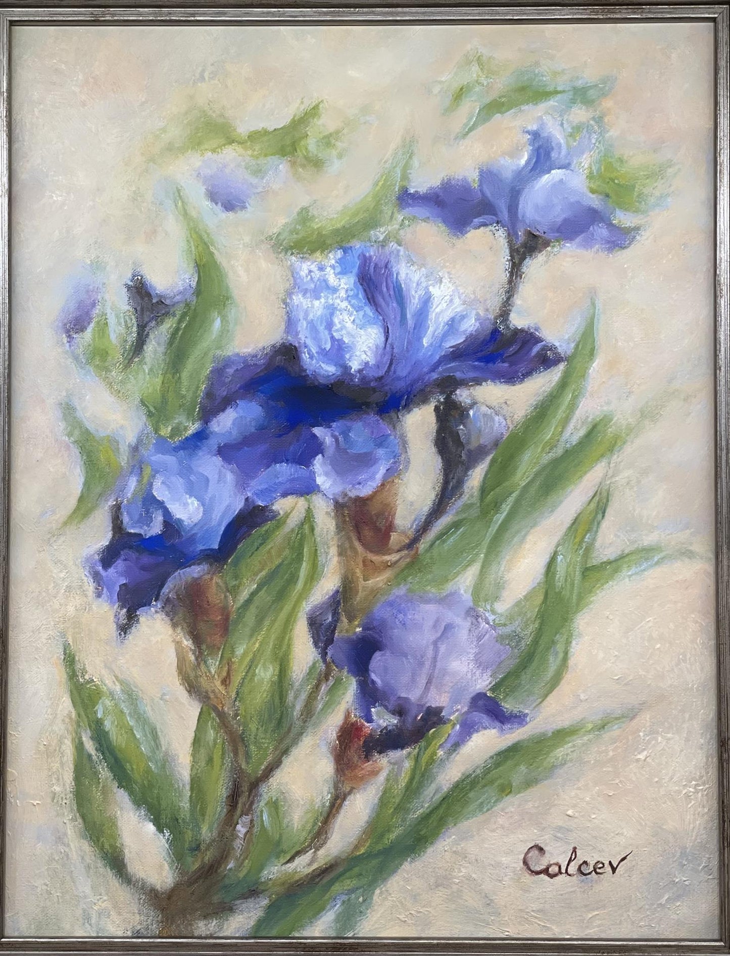 Adriana Calcev – Blue Irises