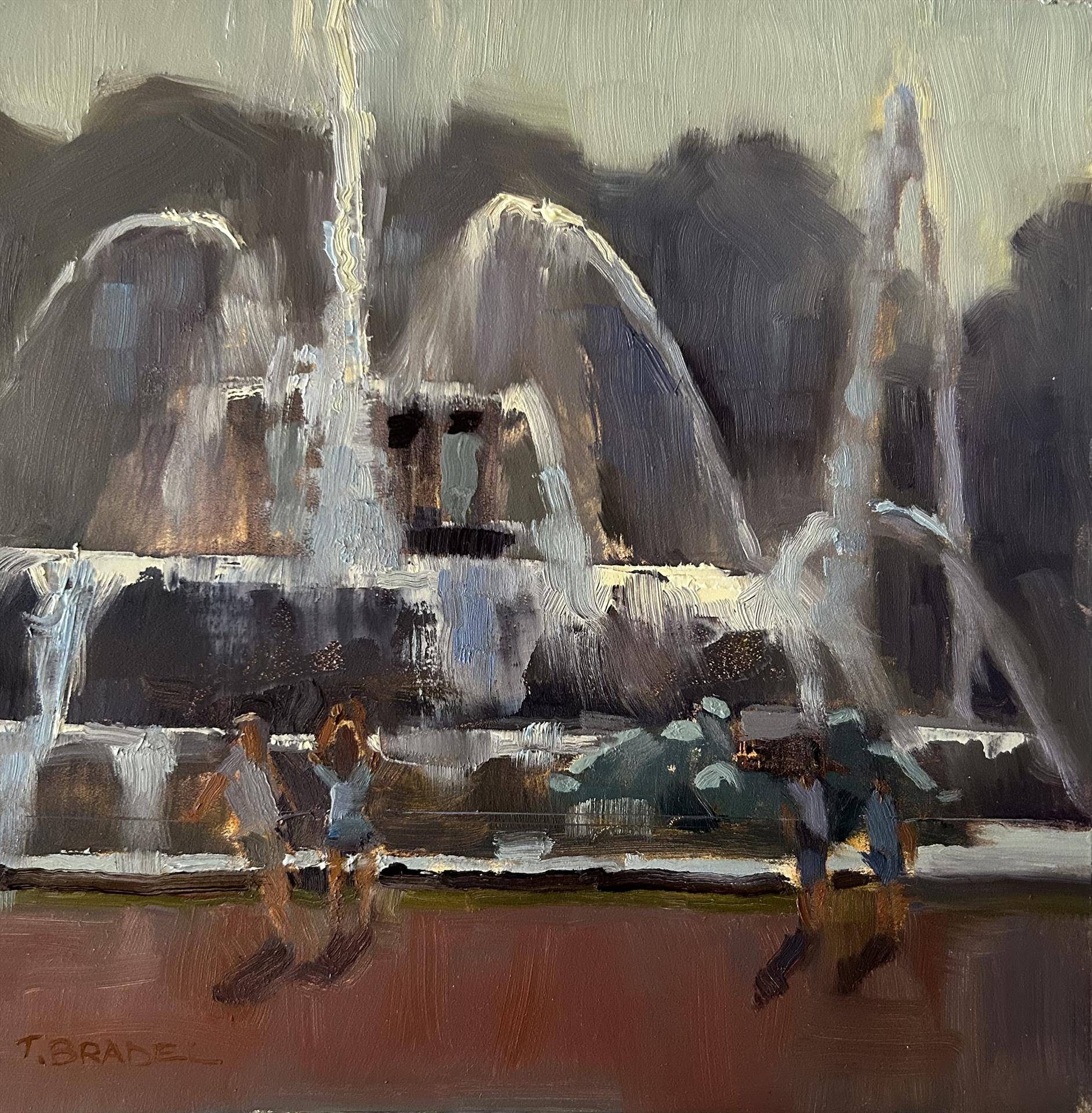 Todd Bradel – Buckingham Fountain Dance