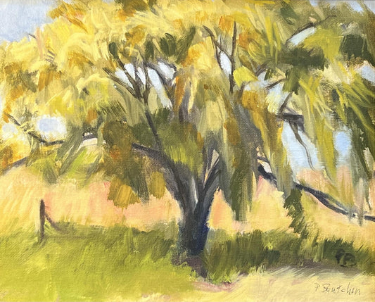 Patricia Brutchin – Swaying Willow
