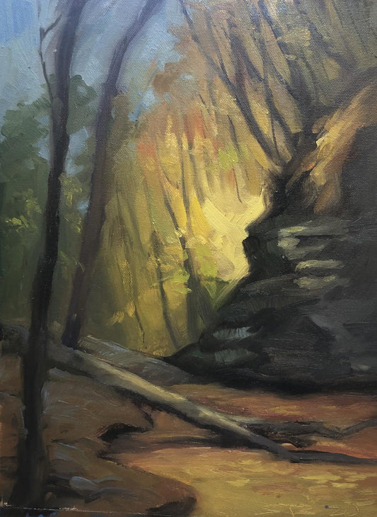 Shannon Burch – Bin: Mattheissen State Park, Fall, 1