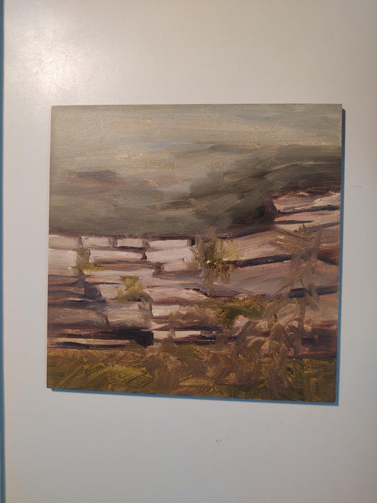 Fabiola Roquena – Bin #1: Lincoln Park Pond