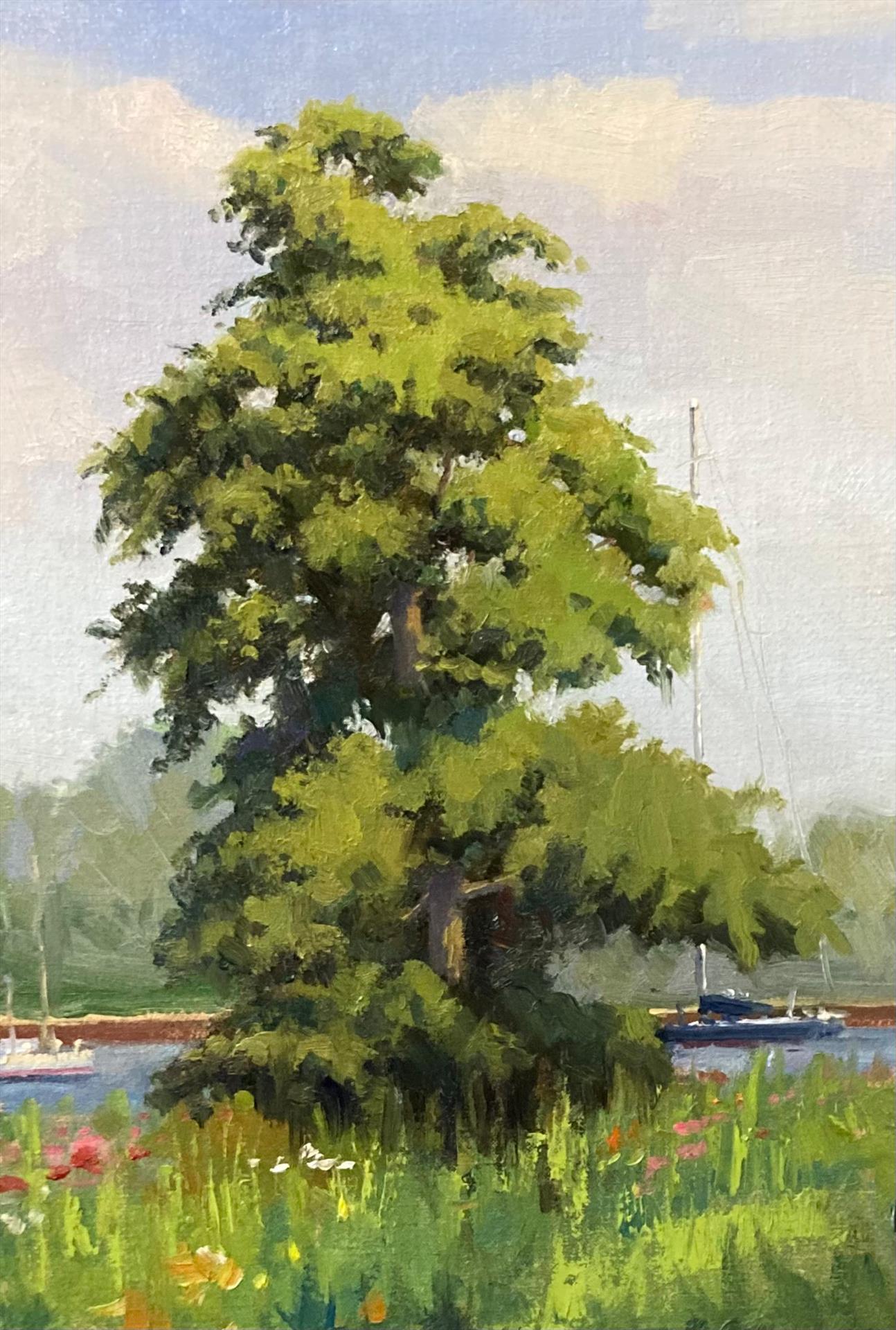 Don Yang – Bin #4: Montrose Harbor Tree