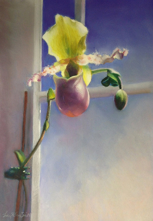 Lucy Ellen Smith - Pinocchio Orchid