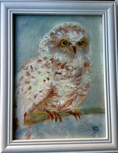 Robin Strand – Snowy Owl