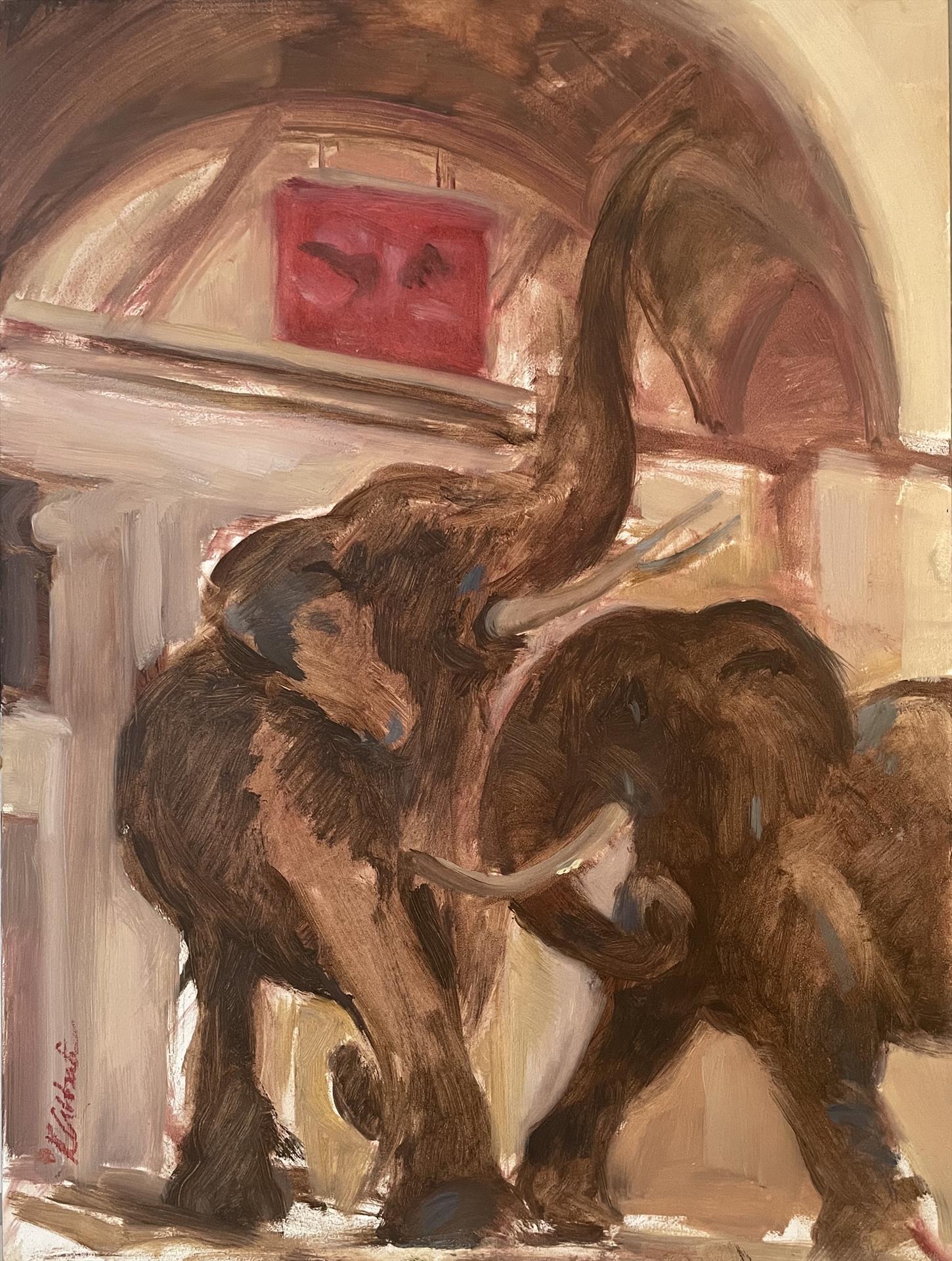 Kim Abbati — Field Museum Study