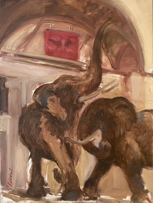 Kim Abbati — Field Museum Study
