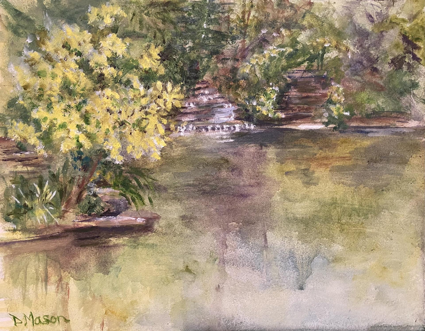Dorothy Mason — North Park Village Nature Center