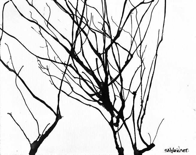 Stephanie Weidner – Abstract Branches