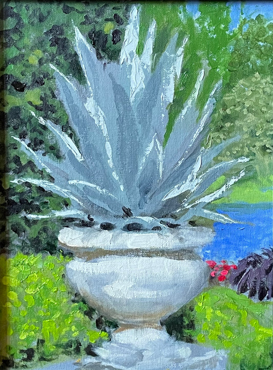 Maureen Sharkey — Agave