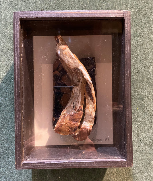 Claire Berger - Shadow Box #2