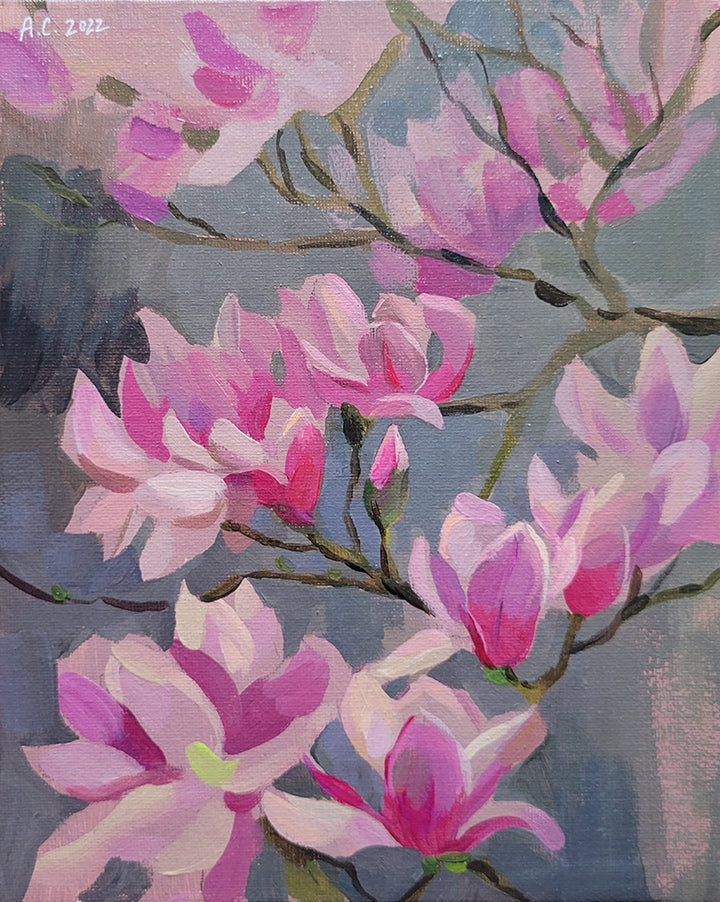 Anna Cherkashina - Pink Magnolia