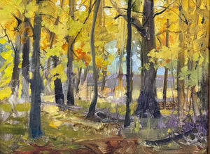 Steve Puttrich – Autumn's Glory at Miami Woods