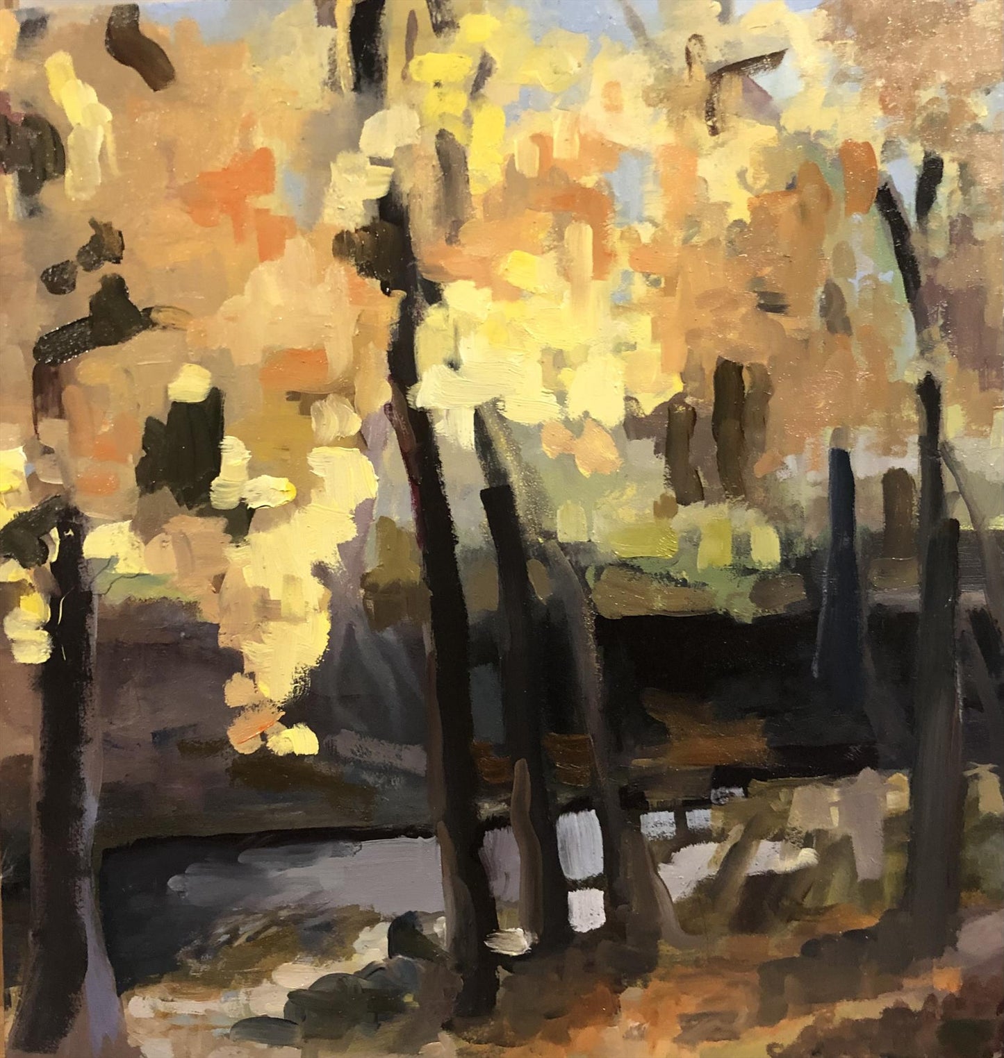 Mark Cleveland – Fall Colors, Chicago River