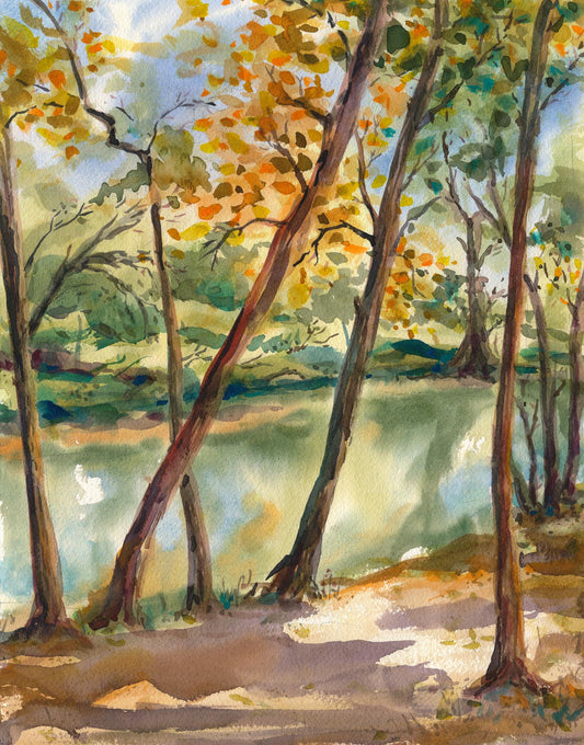Richard Sheppard - Miami Woods Forest Preserve