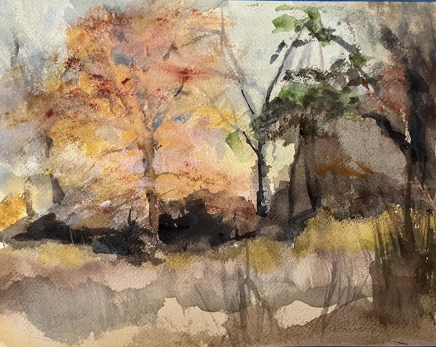 Ann Speltz - Miami Woods Forest Preserve