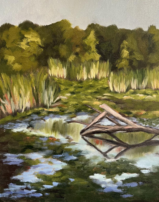 Julie Porter – North Park Nature