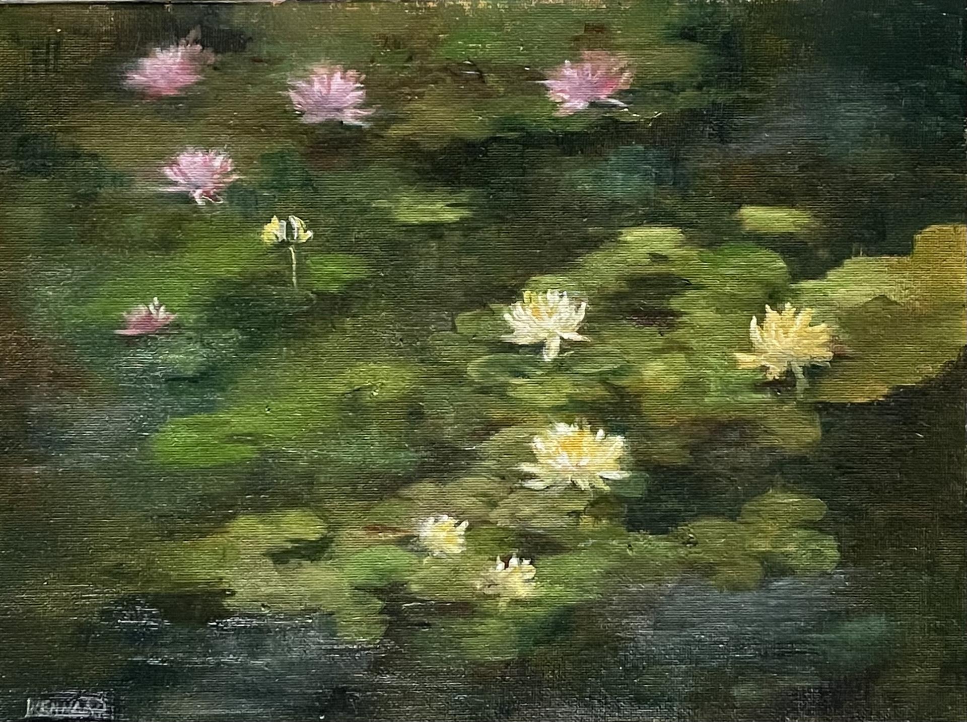 Laurie Kennard – Waterlilies