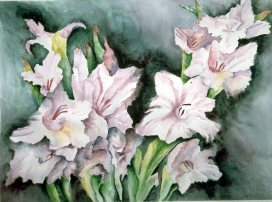 Jan Flapan - Gladiolas