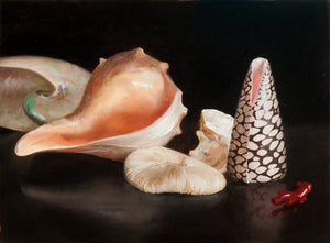 Helen Oh - Seashells & Coral