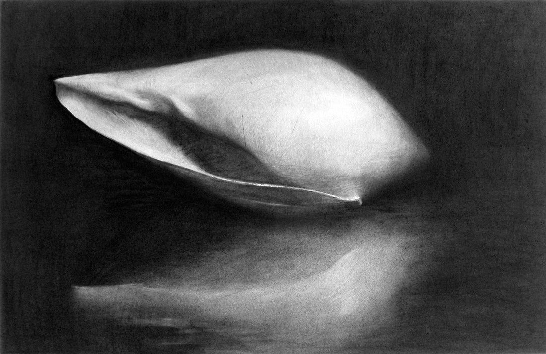 Helen Oh - Volute