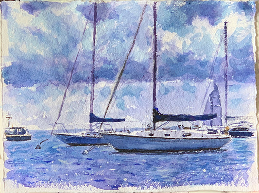 Maureen Sharkey – Montrose Harbor Boats