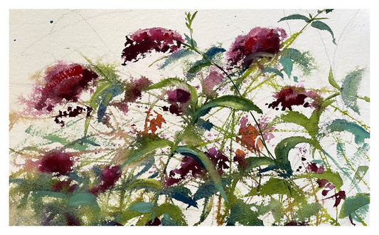 Steve Puttrich – Butterfly Bush