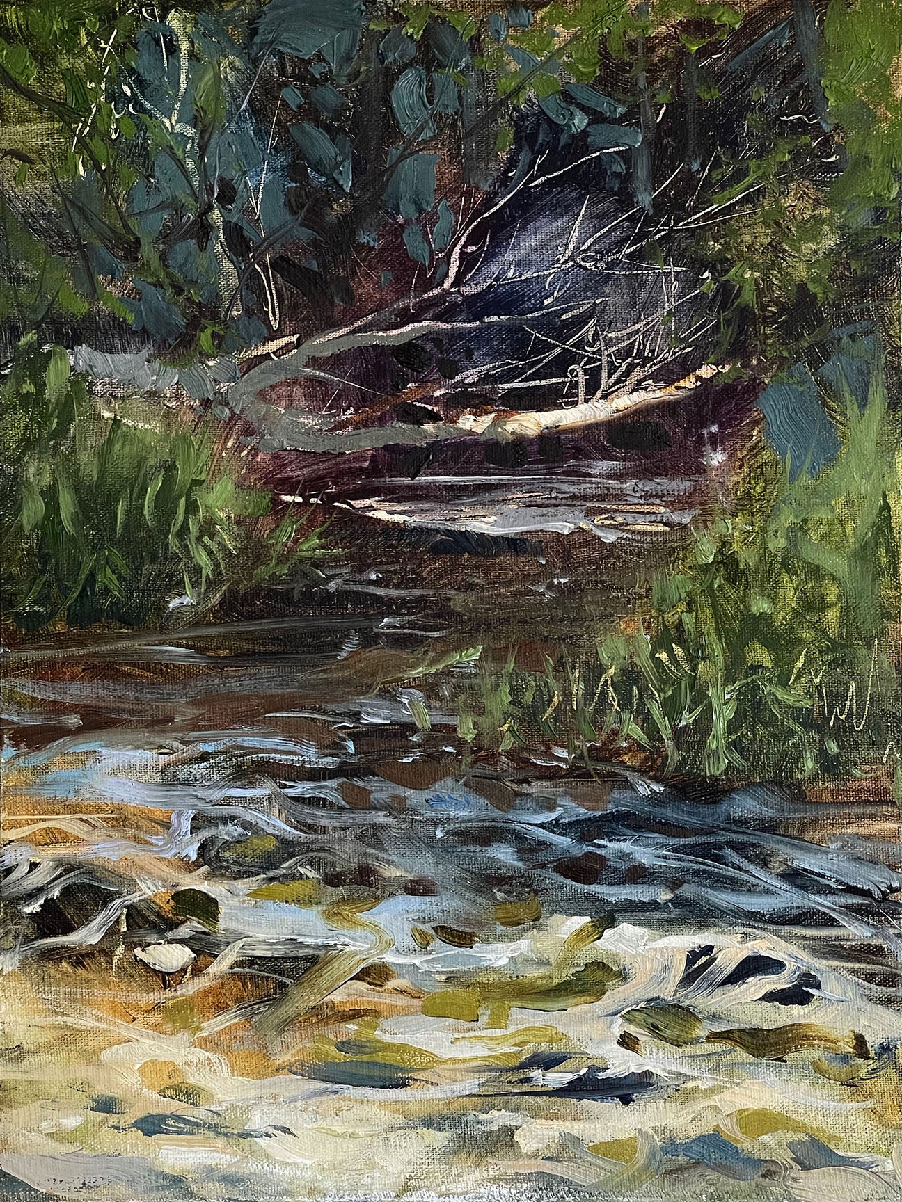 Steve Puttrich – Morning Light on Cedar Creek